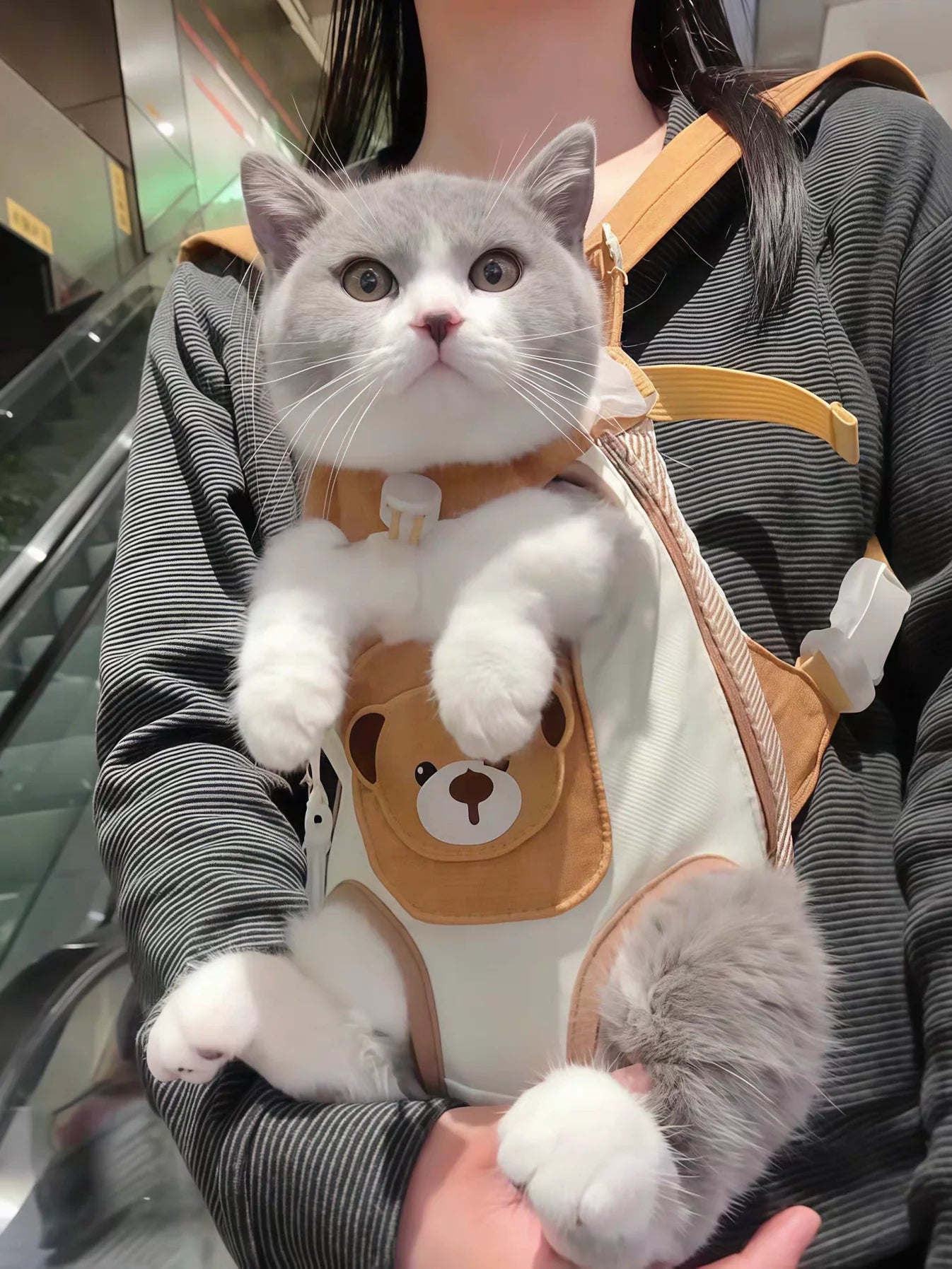 Cat Travel Front Carrier